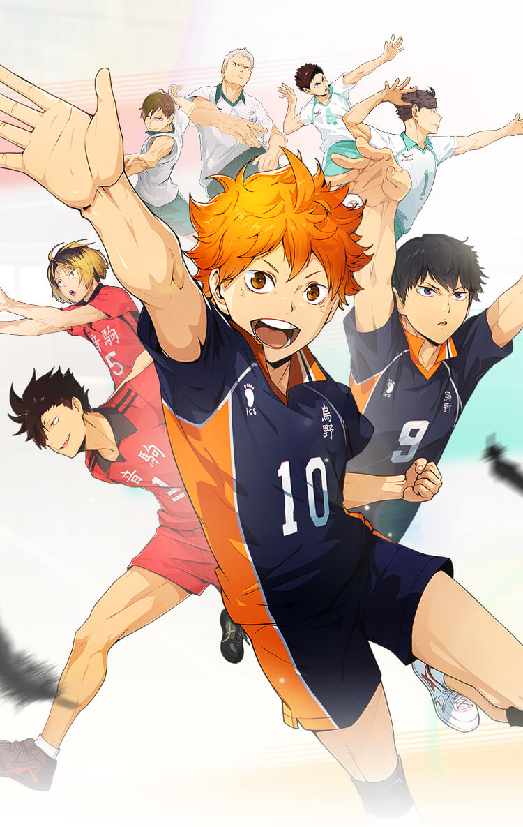 Haikyu!! Fly High