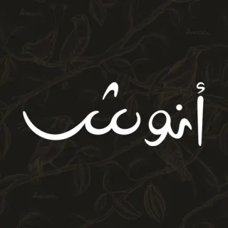 Anoosh